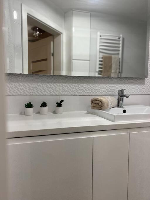 Apartament Zamojski Mlynska Zamosc  Ngoại thất bức ảnh
